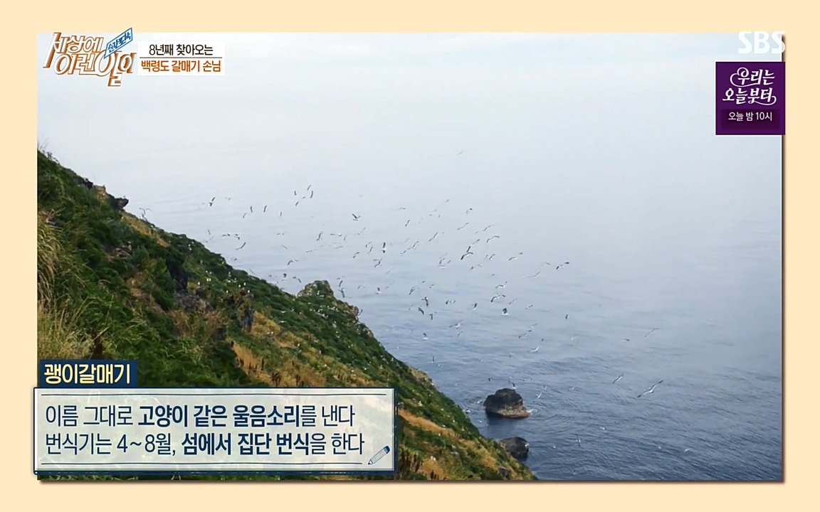 순간포착 세상에 이런일이.E1180.220518p-NEXT.mp4_20220518_174838.743.jpg