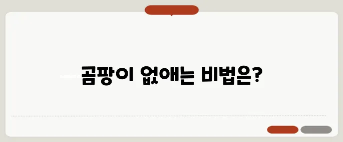곰팡이 벽지 제거 방법 깨끗하게 없애는 법