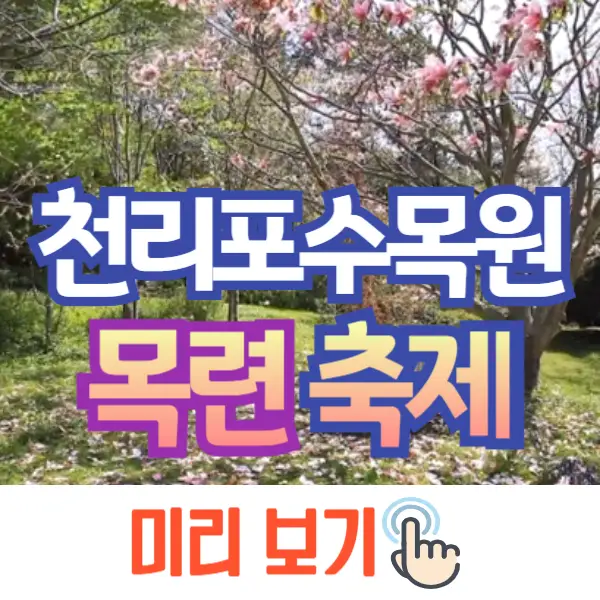 천리포수목원 목련축제