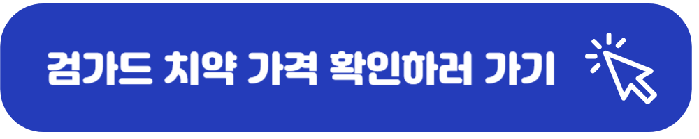 검가드 치약 가격 확인하기