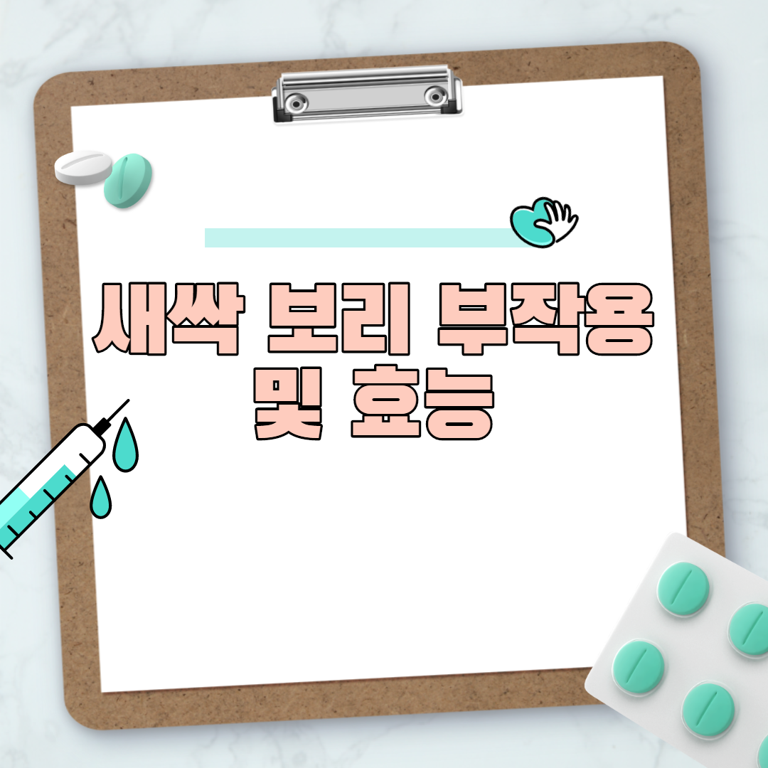  새싹 보리 부작용 및 효능
