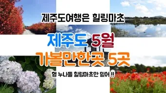 제주 5월 여행 코스 추천 best 10_5