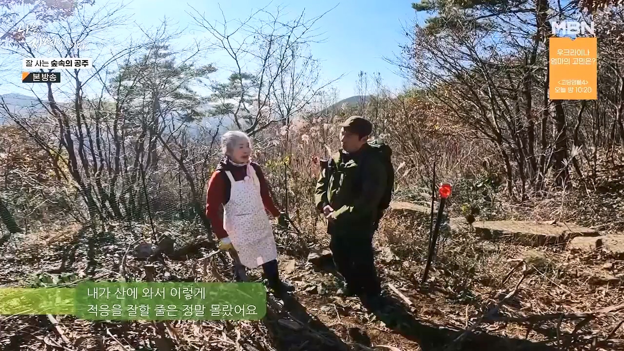 나는 자연인이다.E582.231130p-NEXT.mp4_20231130_200813.270.jpg