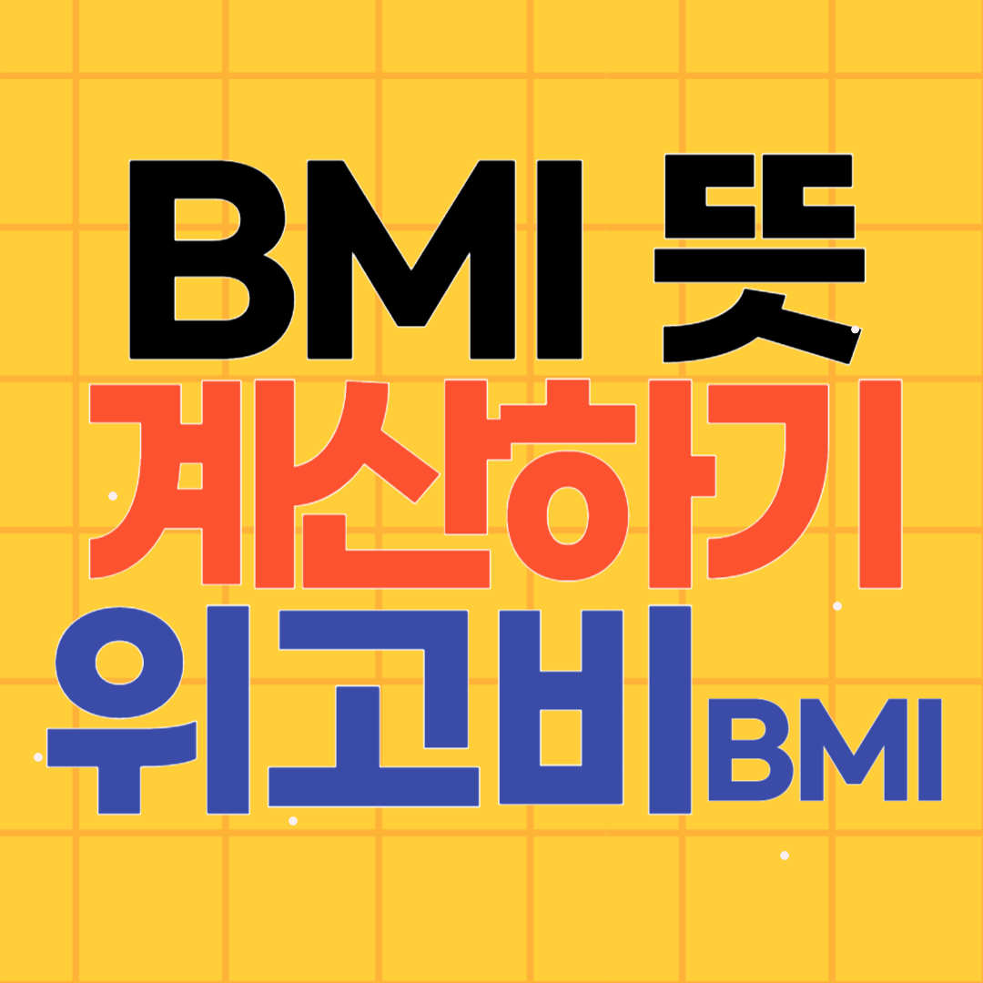 BMI 뜻 계산하기 위고비BMI