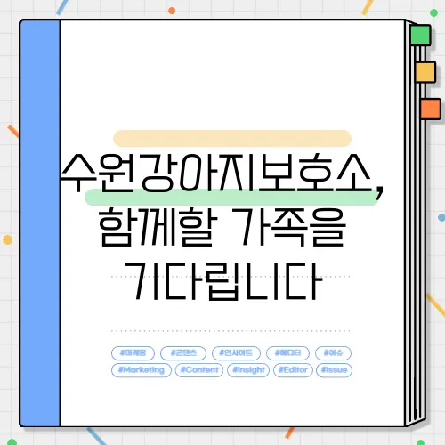 수원강아지보호소, 함께할 가족을 기다립니다