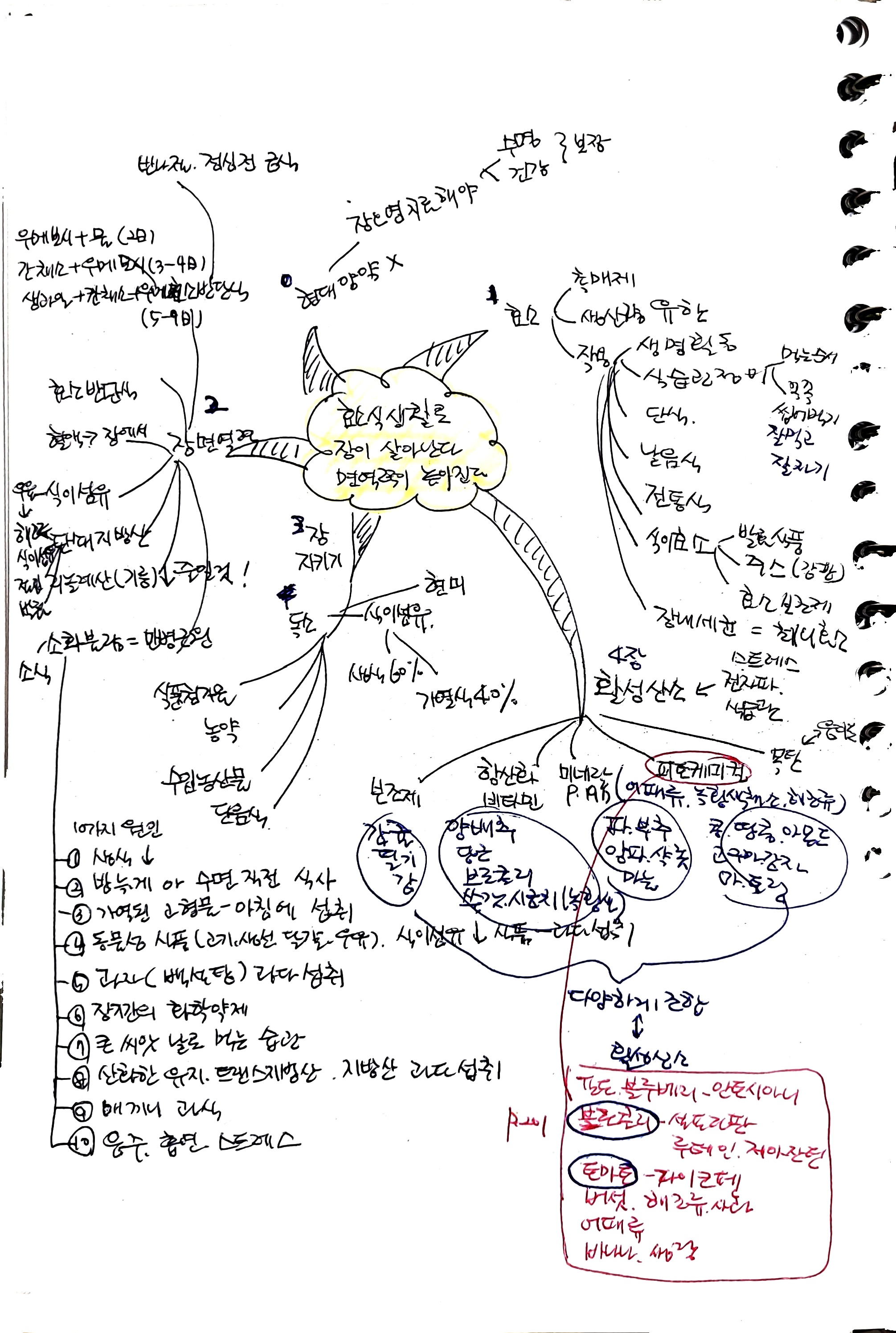 효소 식생활로 장이 살아난다&#44; 면역력이 살아난다 / 츠루미 다카후미 / 전나무숲 (2)