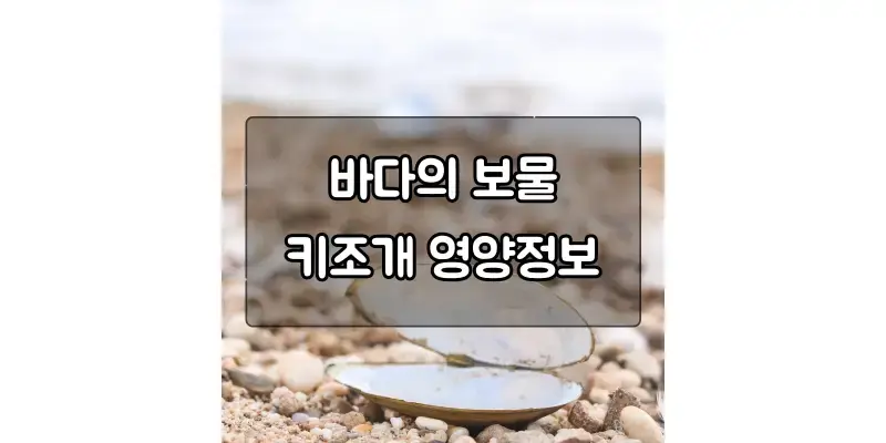  봄 제철 키조개 요리와 영양 가이드