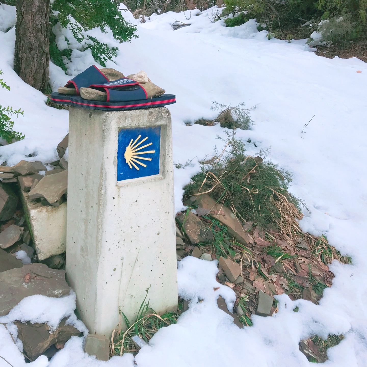  [Overseas Travel]Camino de Santiago Travel journal(Day 3)_산티아고 순례길(론세스바예스~주비리)