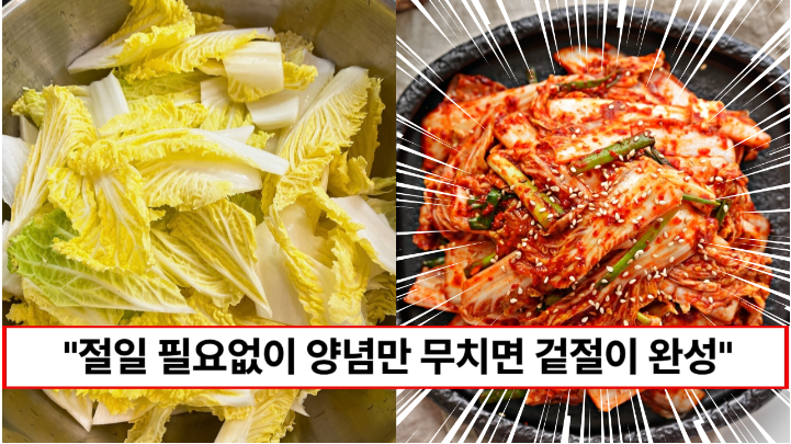 “배추를 절이지 않고 만드는 겉절이입니다” 초간단이라 한번 배우면 평생 써먹는 알배추 겉절이 만드는법 “배추를 절이지 않고 만드는 겉절이입니다” 초간단이라 한번 배우면 평생 써먹는 알배추 겉절이 만드는법