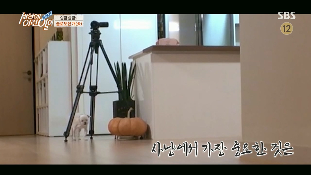 순간포착 세상에 이런일이.E1210.221221p.H264-F1RST.mp4_20221221_194009.508.jpg