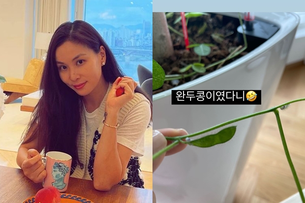  장동건고소영, 163억 집에서 애지중지 키웠는데..."완두콩이었다니"