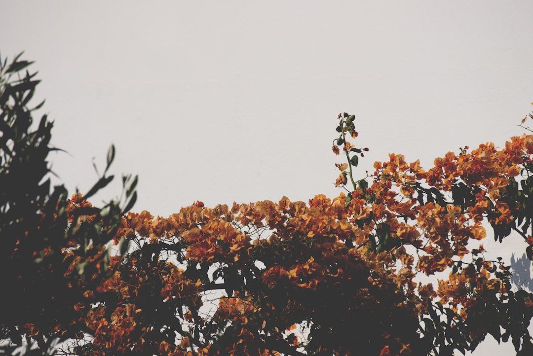 Seasonality