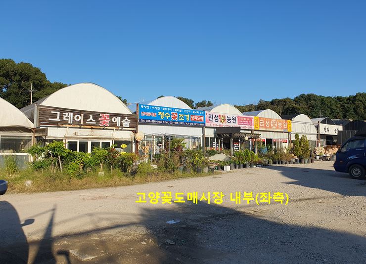 고양꽃도매시장 내부(좌측)