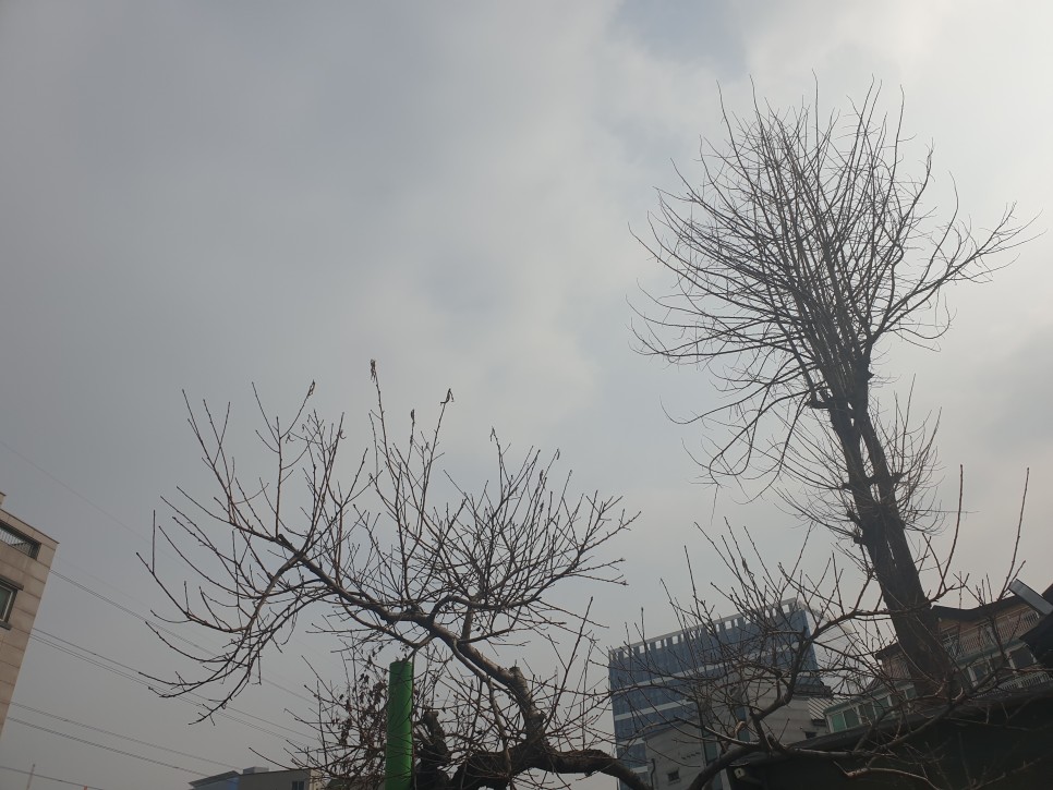 정부아이돌보미 정부일자리 아이돌보미 자격증 4