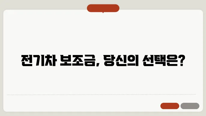 전기차 보조금 지원정책
