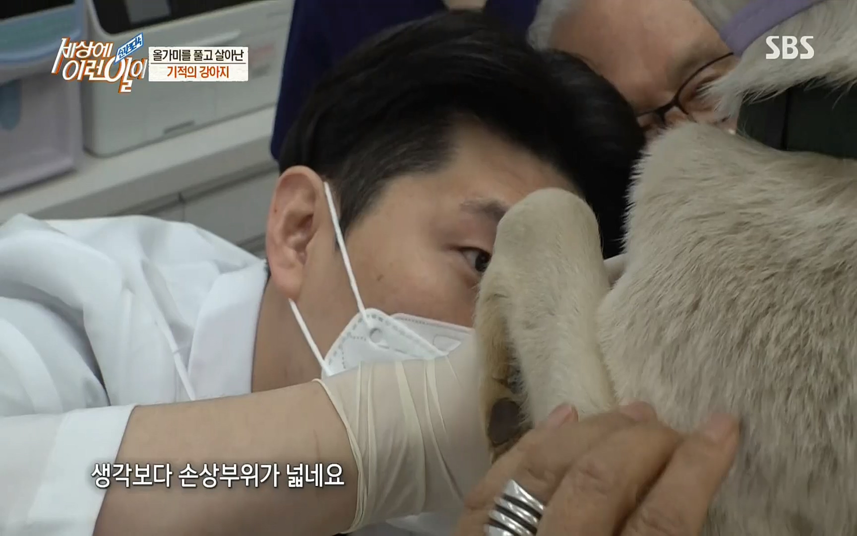 순간포착 세상에 이런일이.E1184.220614p.H264-F1RST.mp4_20220615_201706.559.jpg