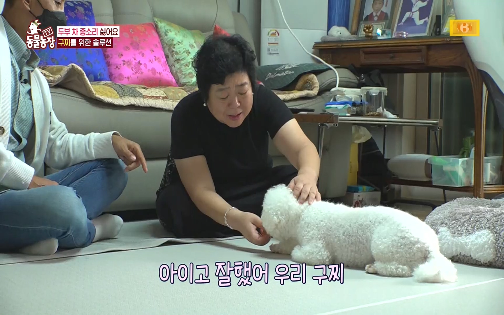 TV 동물농장.E1089.221002p.H264-F1RST.mp4_20221002_181944.358.jpg