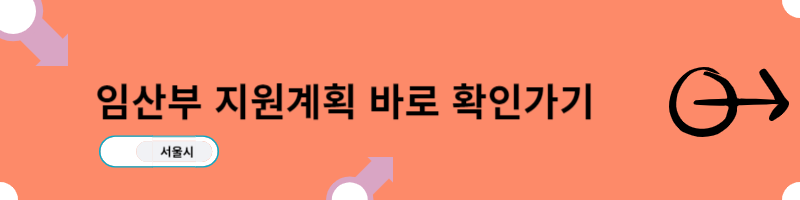 서울시_임산부지원계획