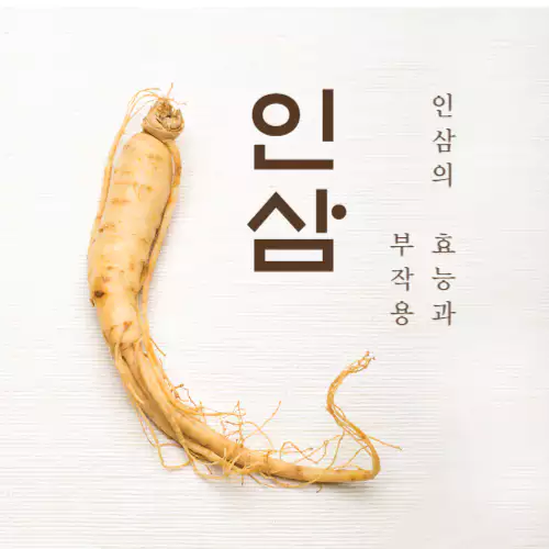 인삼의 효능과 부작용