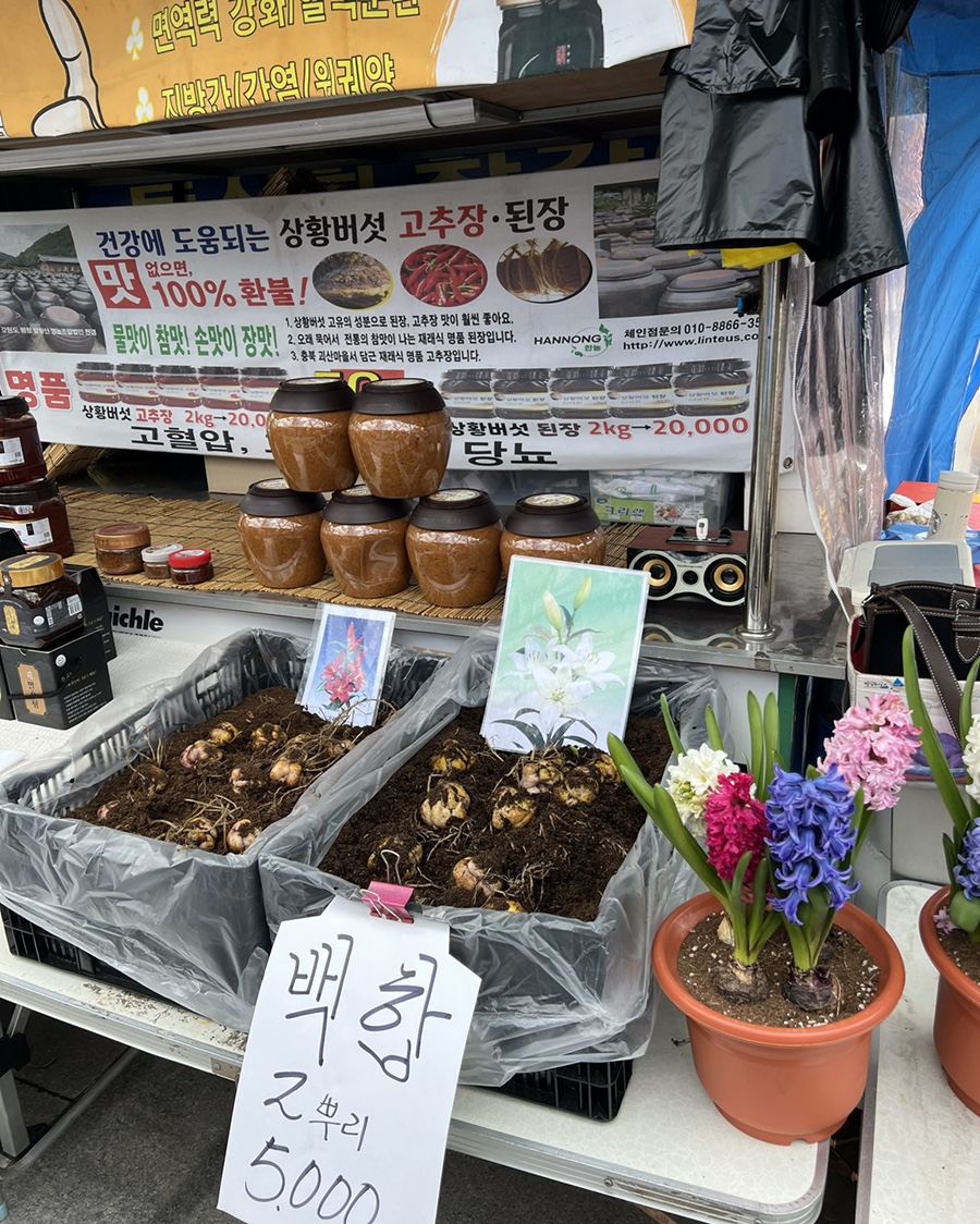 혼자가기좋은 45