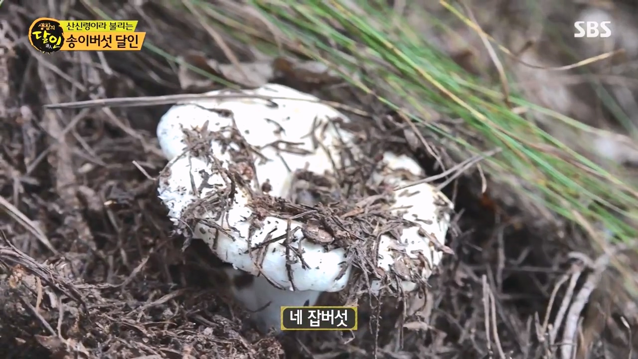 생활의 달인.E907.231010p-NEXT.mp4_20231010_202843.858.jpg