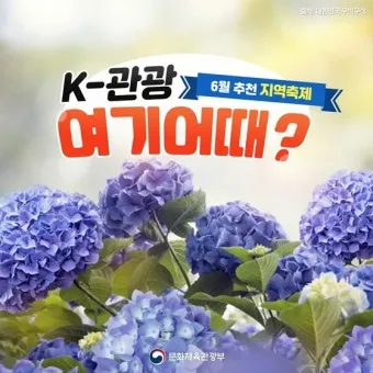 6월 축제 가볼만한 곳 완벽 가이드 2025년 최신_10