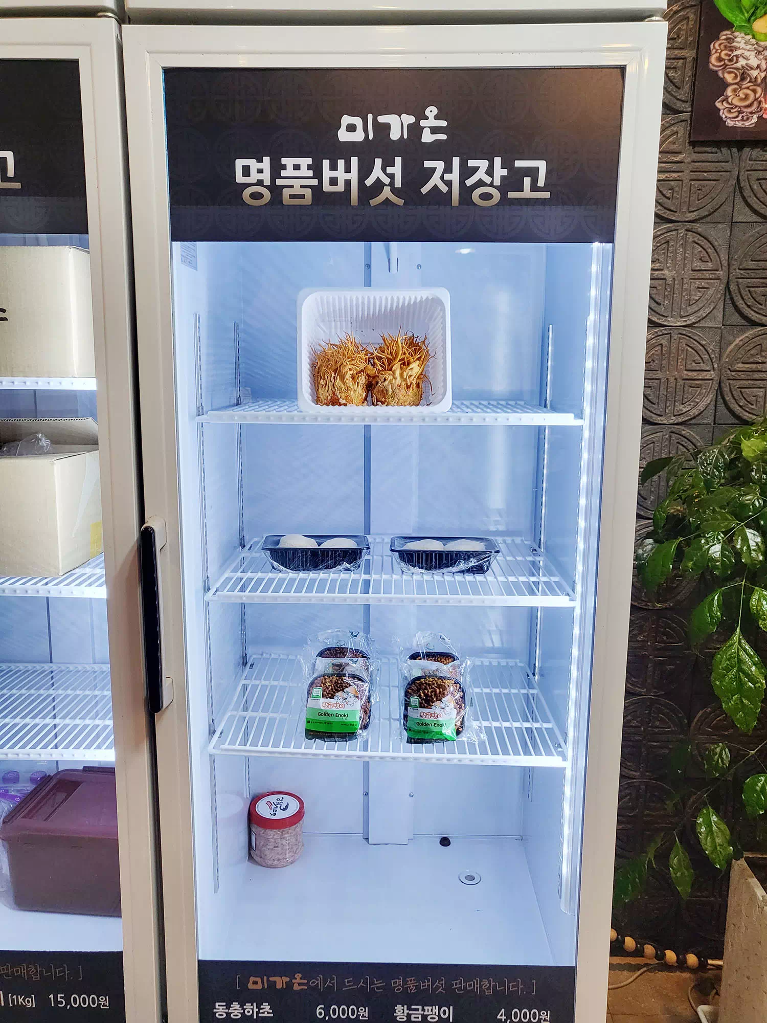 판매중인 버섯