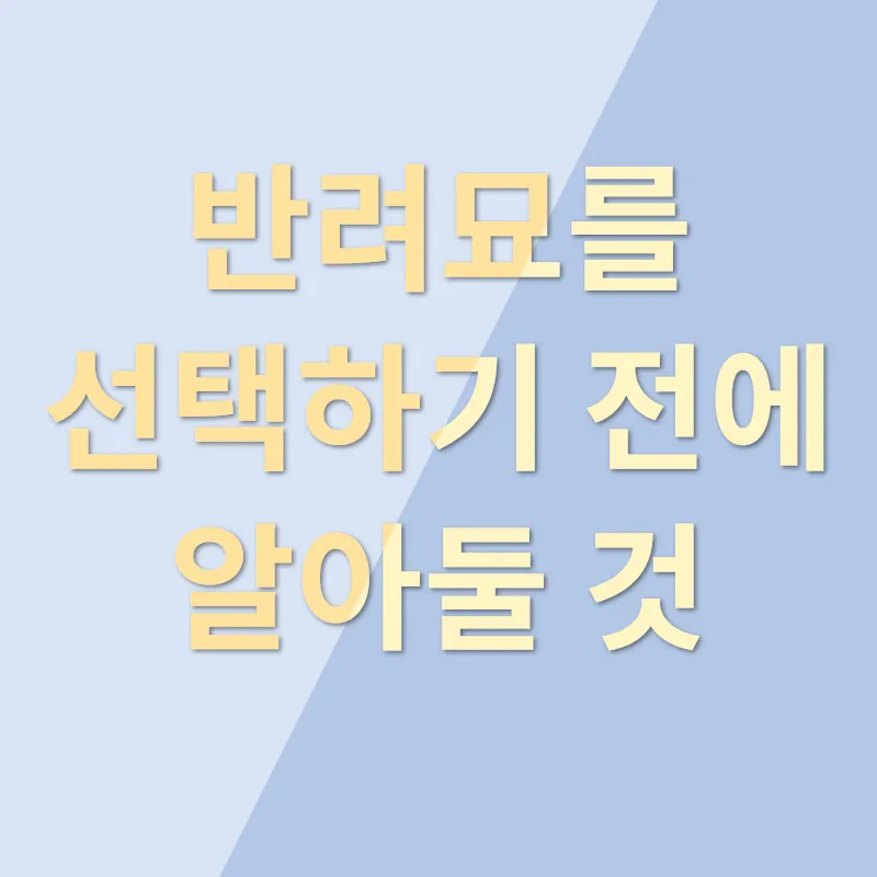 고양이 입양_1