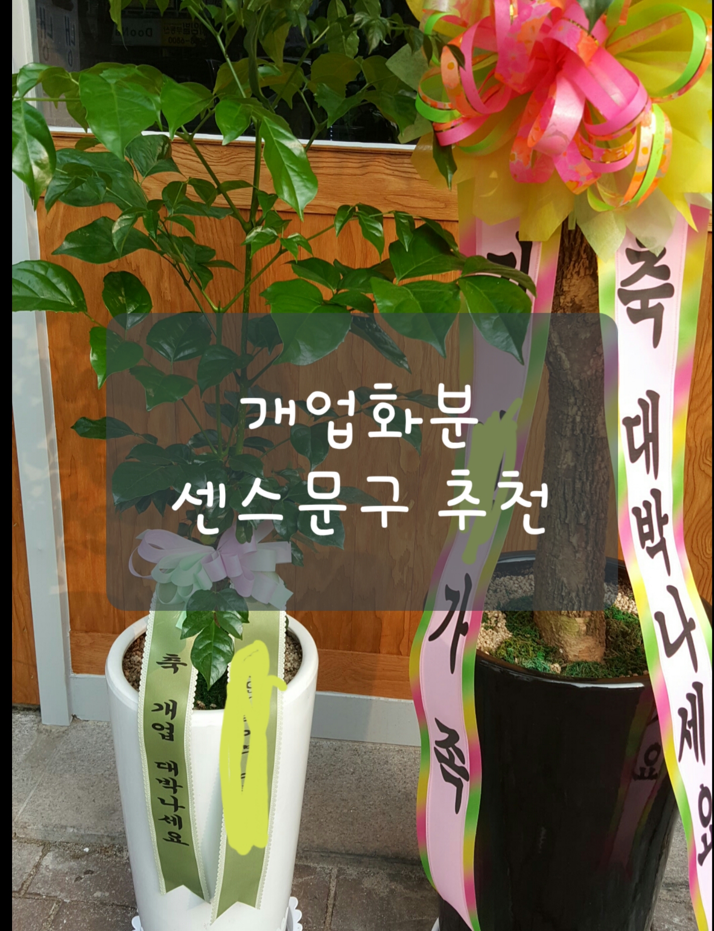 베스트 1017 개업 축하 문구 업데이트 60 분 전 베스트 1017 개업 축하 문구 업데이트 60 분 전
