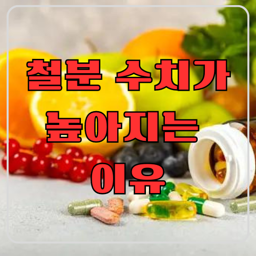 철분 수치가 높아지는 이유