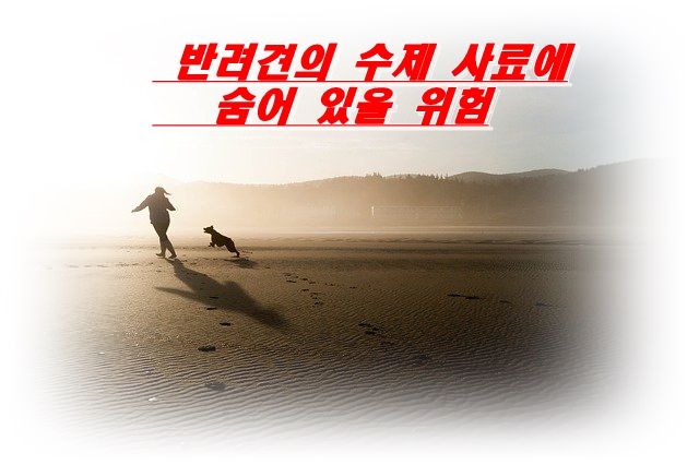  사실 너무 어려운 반려견의 수제 사료에 숨어 있을 위험