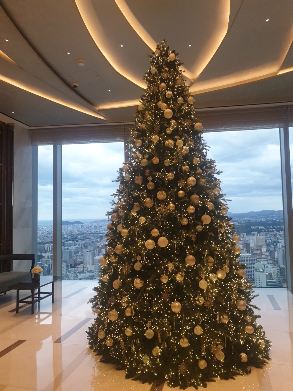 제주 전연령 렌트카 제주도 첫날 시작! 10