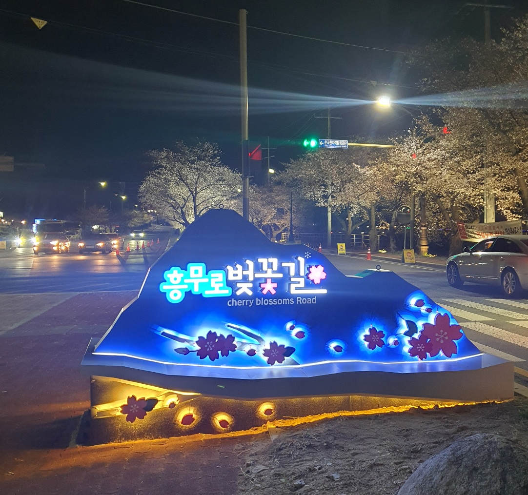 경주-흥무로-벚꽃길