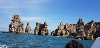백령도 배편 요금 시간표 예매 요금_5