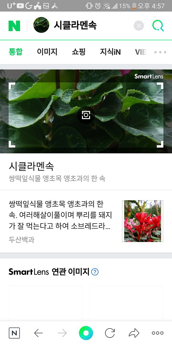  나무 이름 찾기