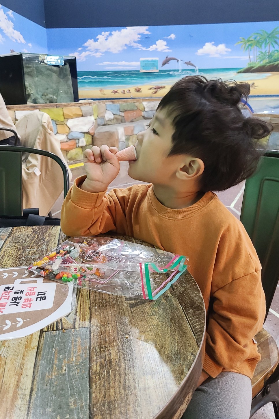 부천 아쿠아리움 부천 아쿠아리움먹이주기 체험 9