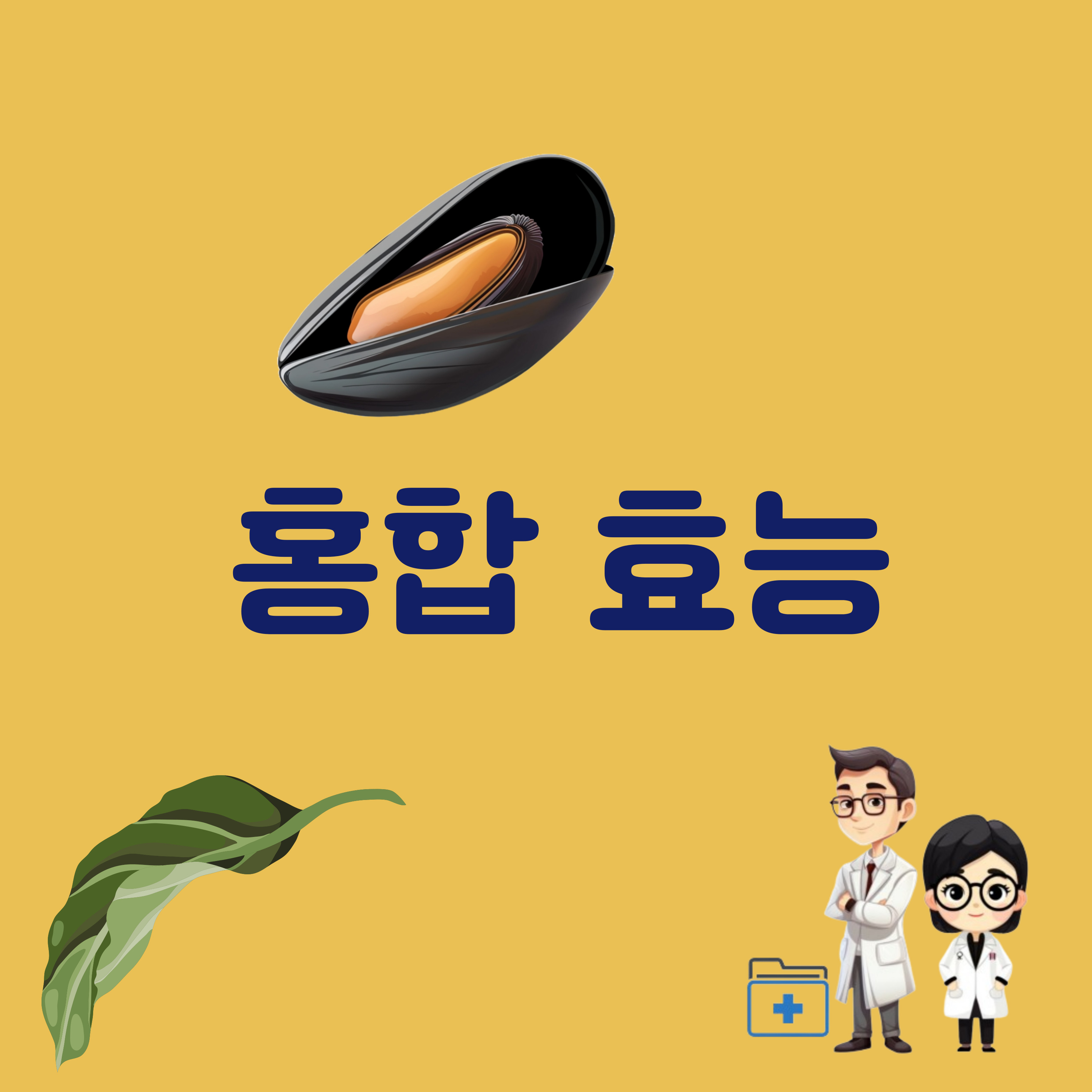 홍합효능