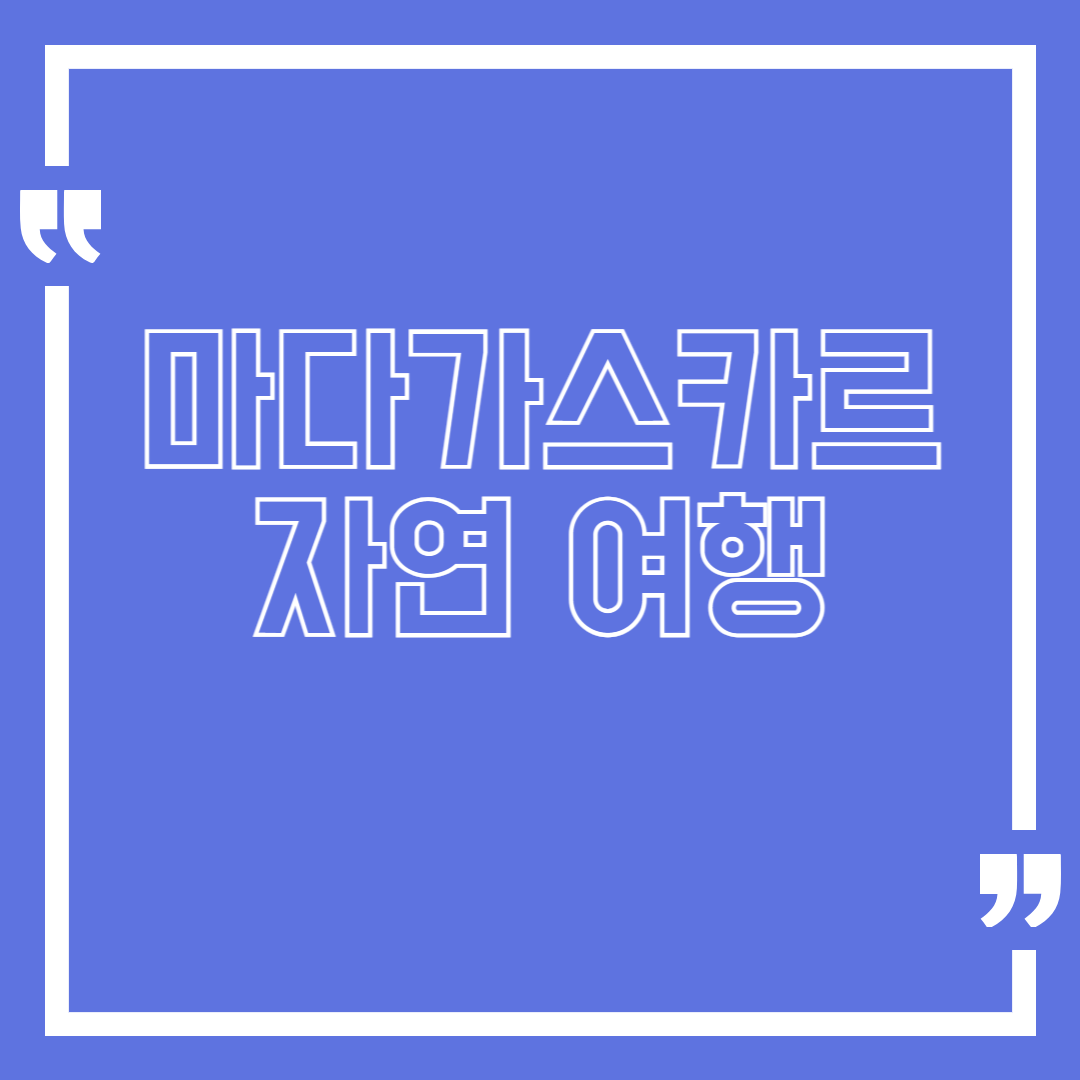 마다가스카르 자연 여행 – 바오밥 가로수길과 여우원숭이 탐험