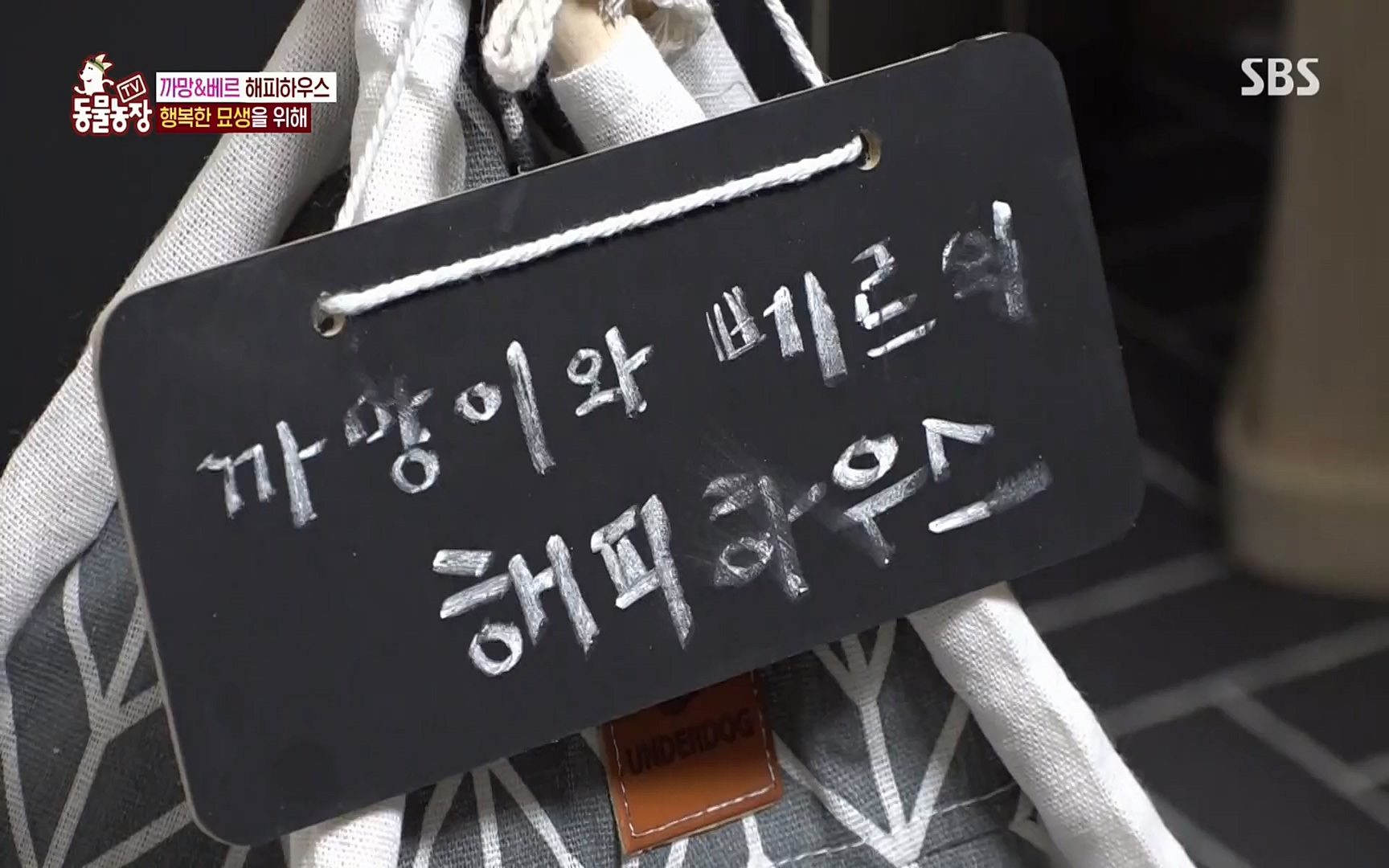 TV 동물농장.E1073.220612p.H264-F1RST.mp4_20220612_181354.964.jpg