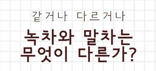  녹차와 말차의 차이점