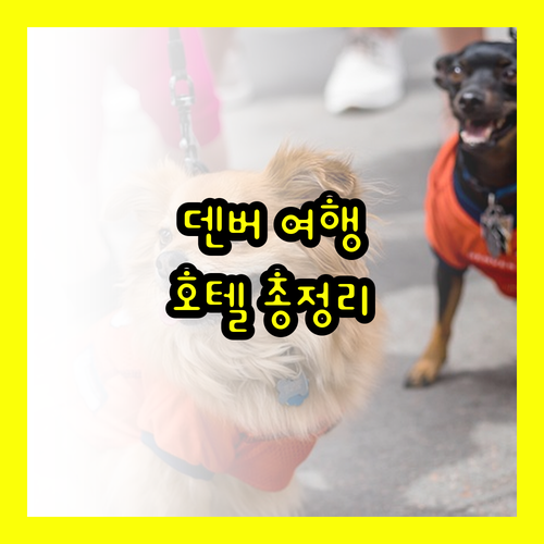 덴버 여행 필수 정보 덴버 다운타운 