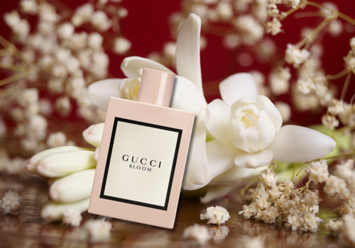  구찌 향수 블룸 Gucci Bloom & 플랭커