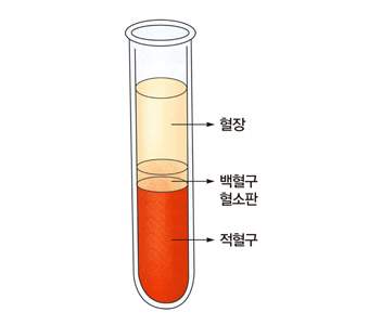 피검사로 알수있는병