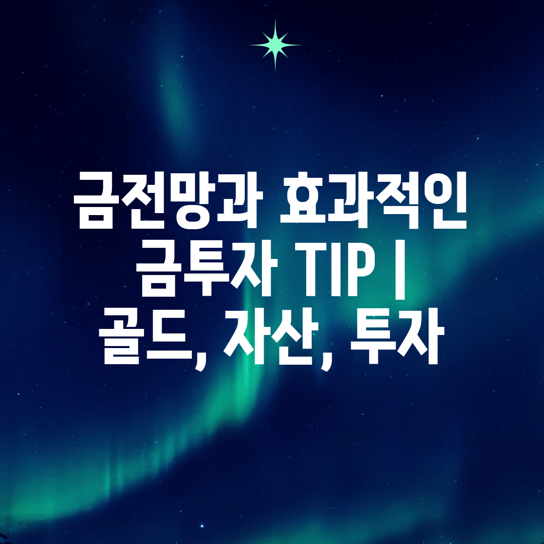 금전망과 효과적인 금투자 TIP  골드, 자산, 투자