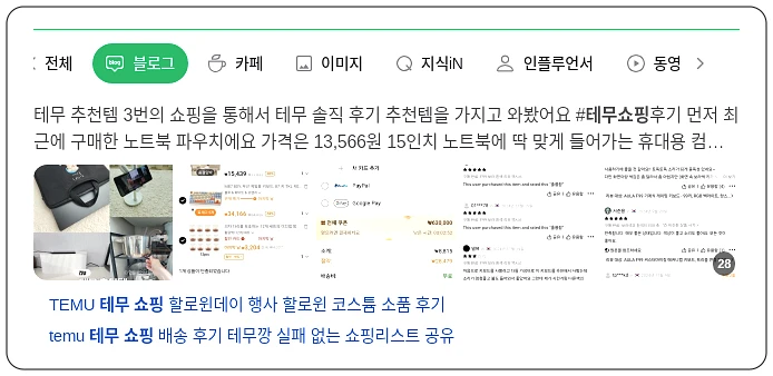 테무 쇼핑_1_subsection