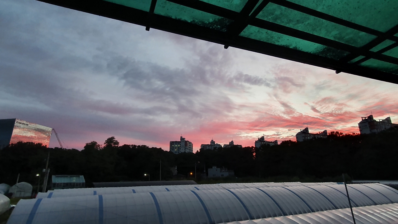 img.jpg