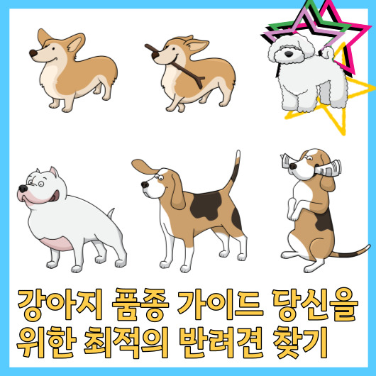  강아지 품종 가이드 당신을 위한 최적의 반려견 찾기