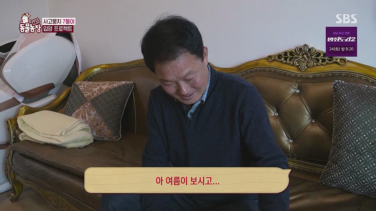 TV 동물농장.E1104.230123p.WANNA.mp4_20230123_195423.021.jpg