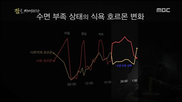  잠을 지배하라