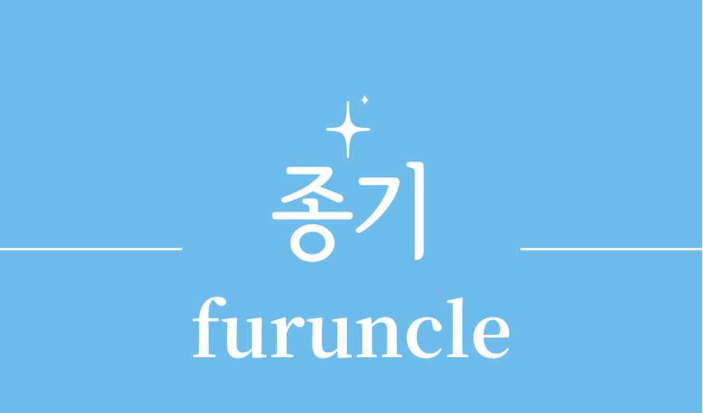 '종기(furuncle)'